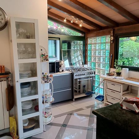 Pietrasanta - Versilia - Villa Arzilla Garden Con Piscina 通法诺 外观 照片