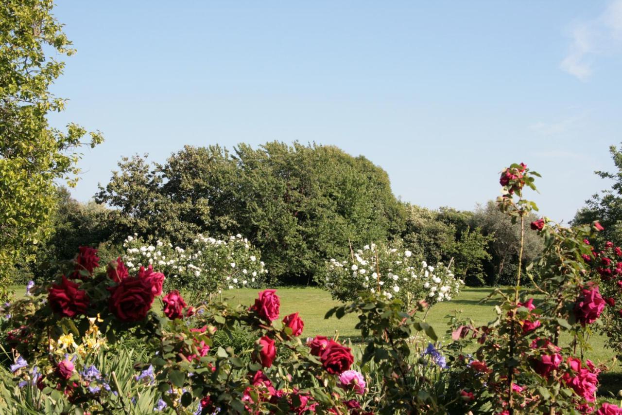 Pietrasanta - Versilia - Villa Arzilla Garden Con Piscina 通法诺 外观 照片
