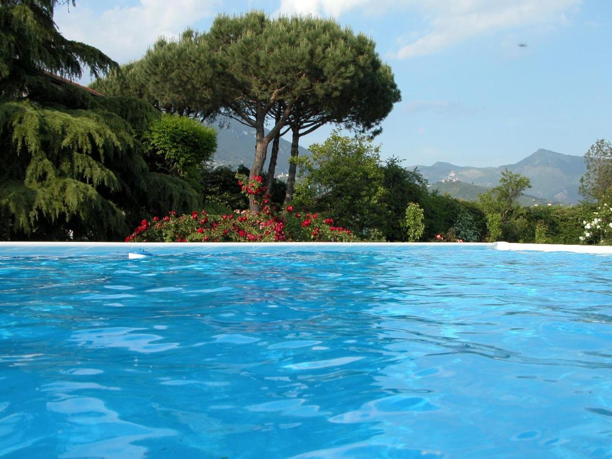 Pietrasanta - Versilia - Villa Arzilla Garden Con Piscina 通法诺 外观 照片