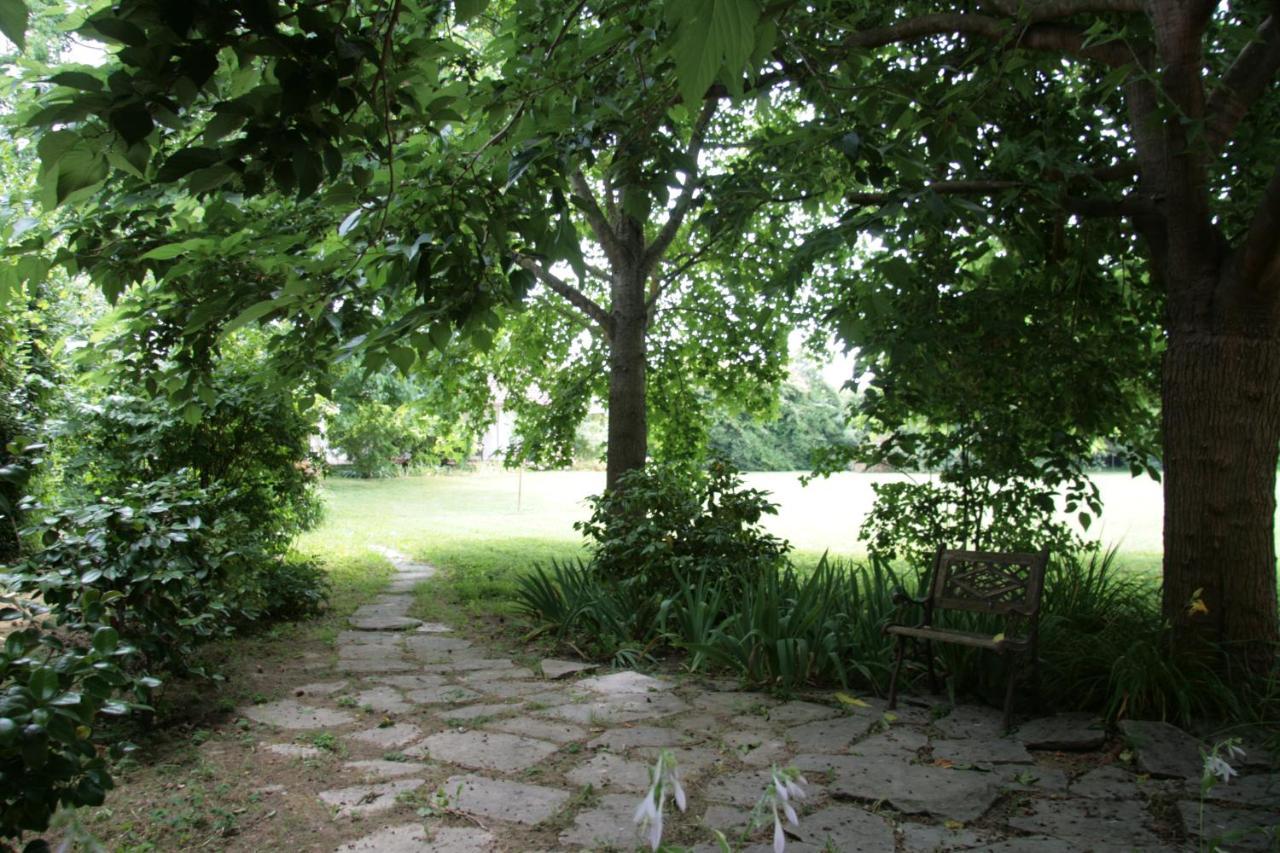 Pietrasanta - Versilia - Villa Arzilla Garden Con Piscina 通法诺 外观 照片