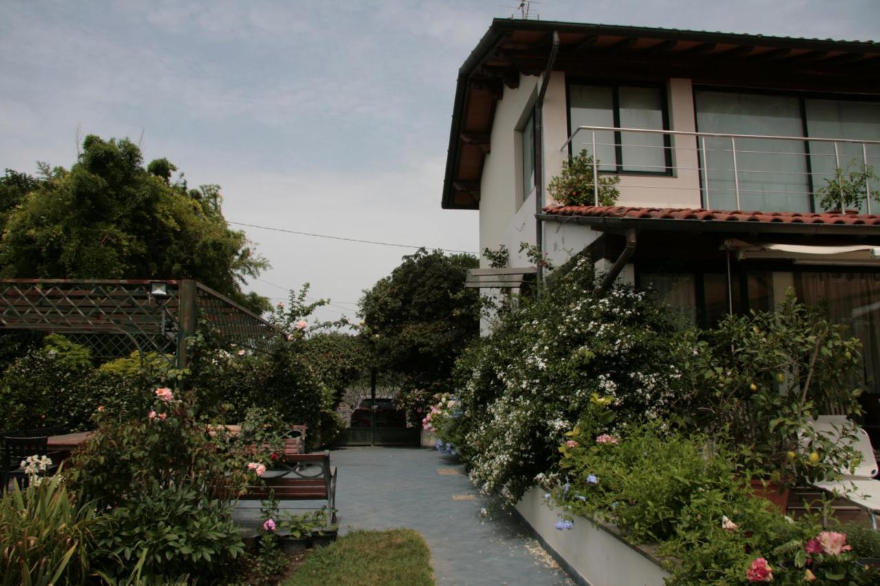 Pietrasanta - Versilia - Villa Arzilla Garden Con Piscina 通法诺 外观 照片